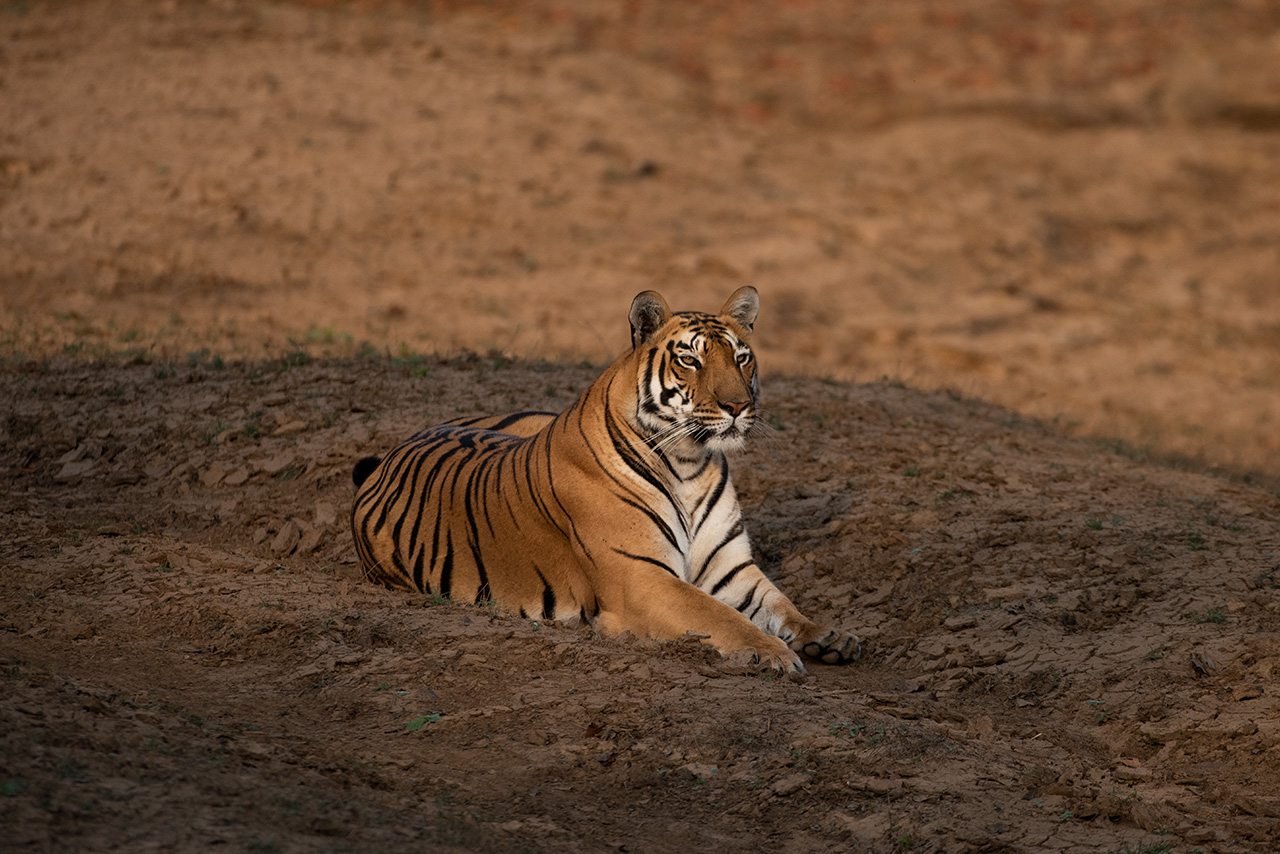 Madhai Churna Trail